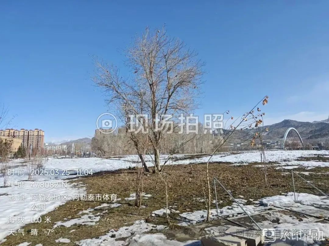 现场照片3.png