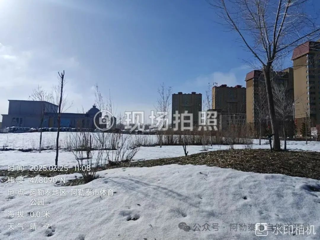 现场照片4.png