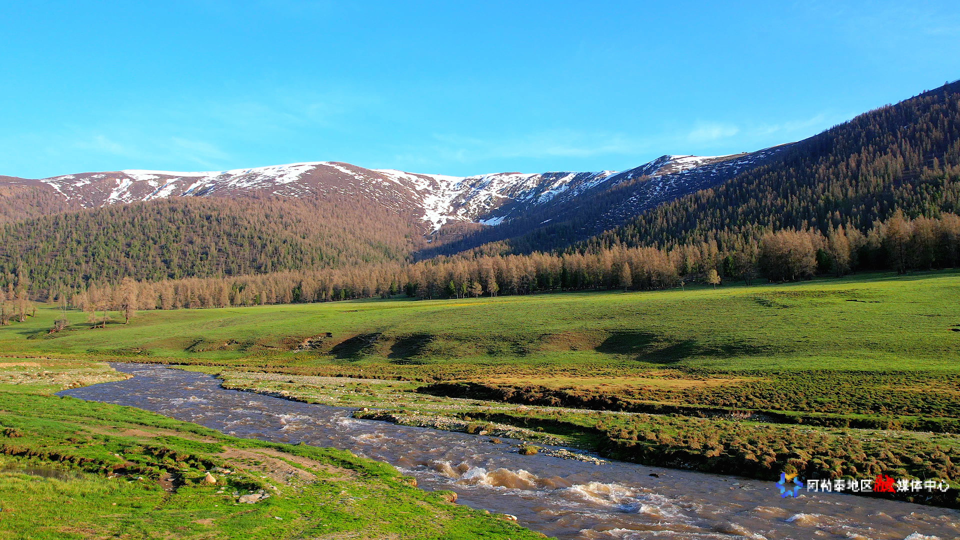Image_1747629367851